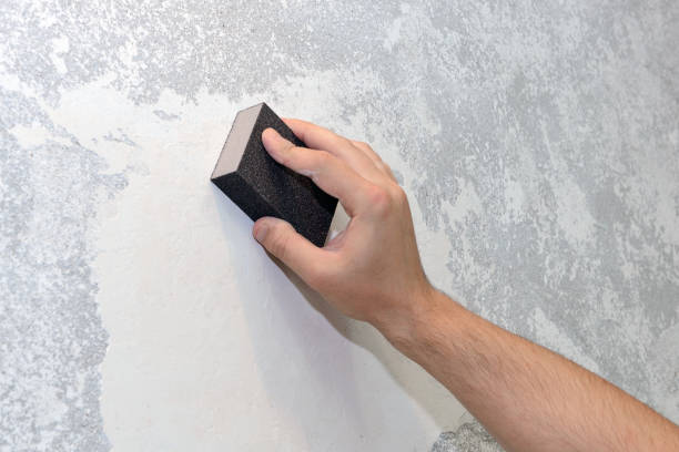 Best Mold Documentation for Insurance Claims  in Silverton, OH