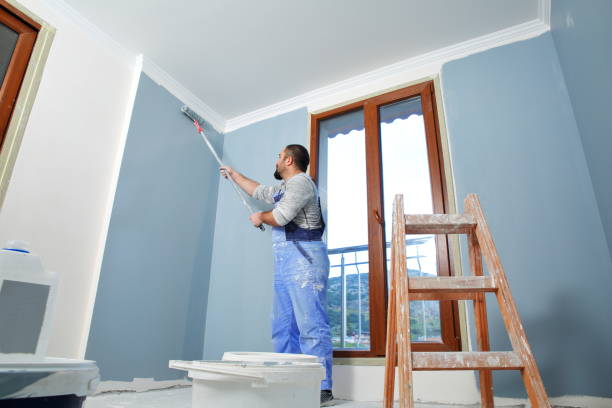 Best Emergency Mold Remediation  in Silverton, OH