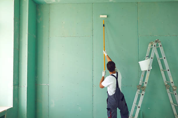 Best Mold Odor Removal Services  in Silverton, OH