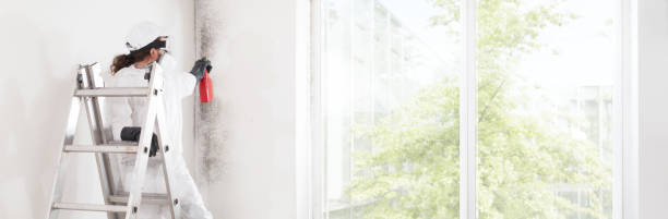 Best Dehumidification Services  in Silverton, OH