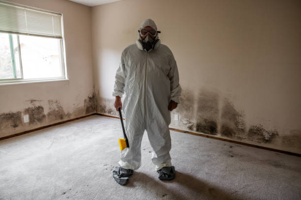 Best Mold Damage Restoration  in Silverton, OH