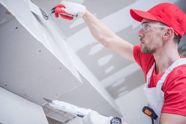 Best Comprehensive Air Testing for Mold Contaminants  in Silverton, OH