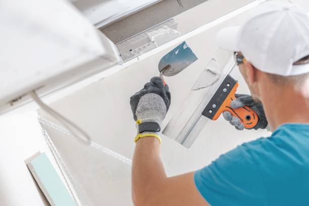 Best Mold Removal for HVAC Installations  in Silverton, OH